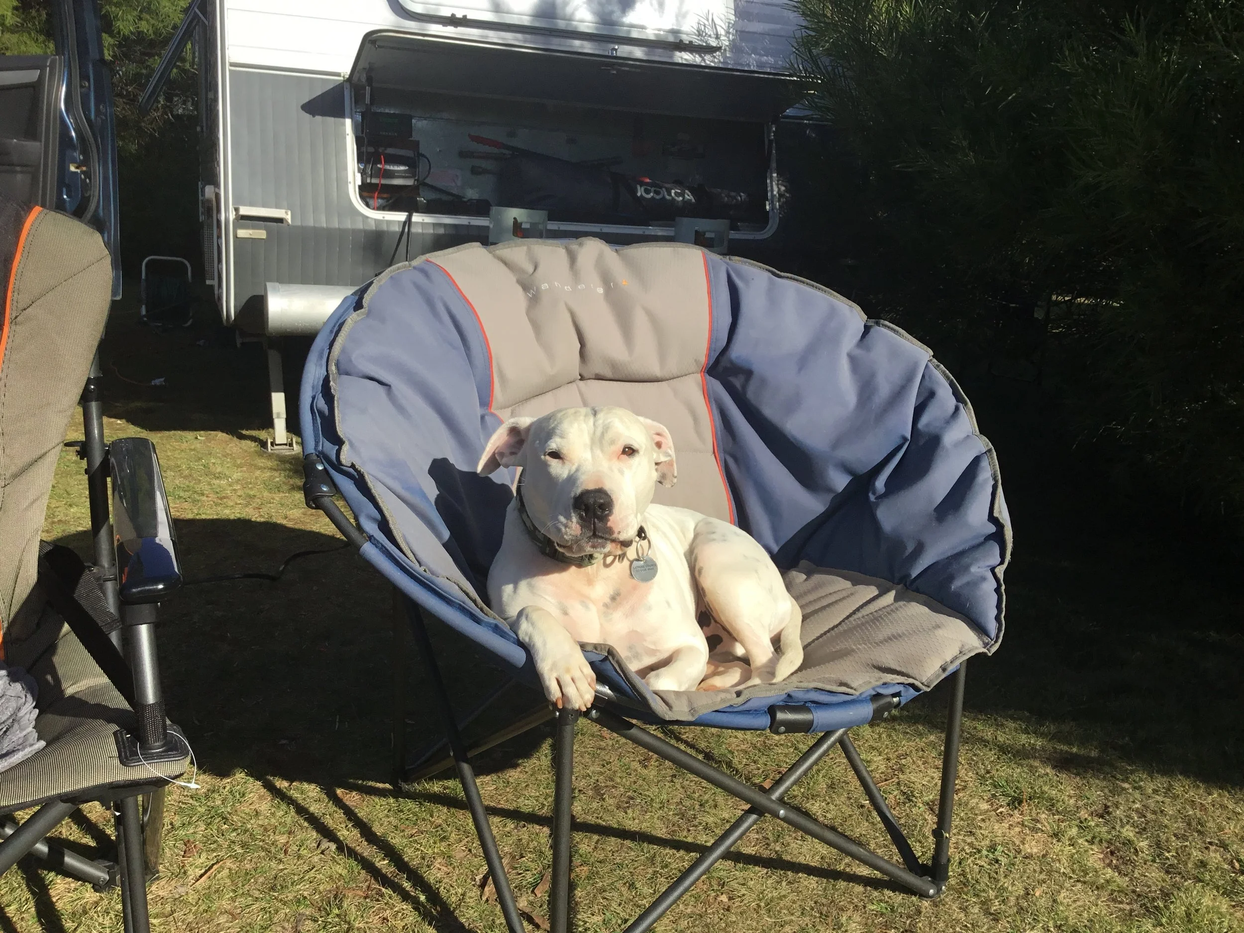 Pet friendly - just ask Tucker!