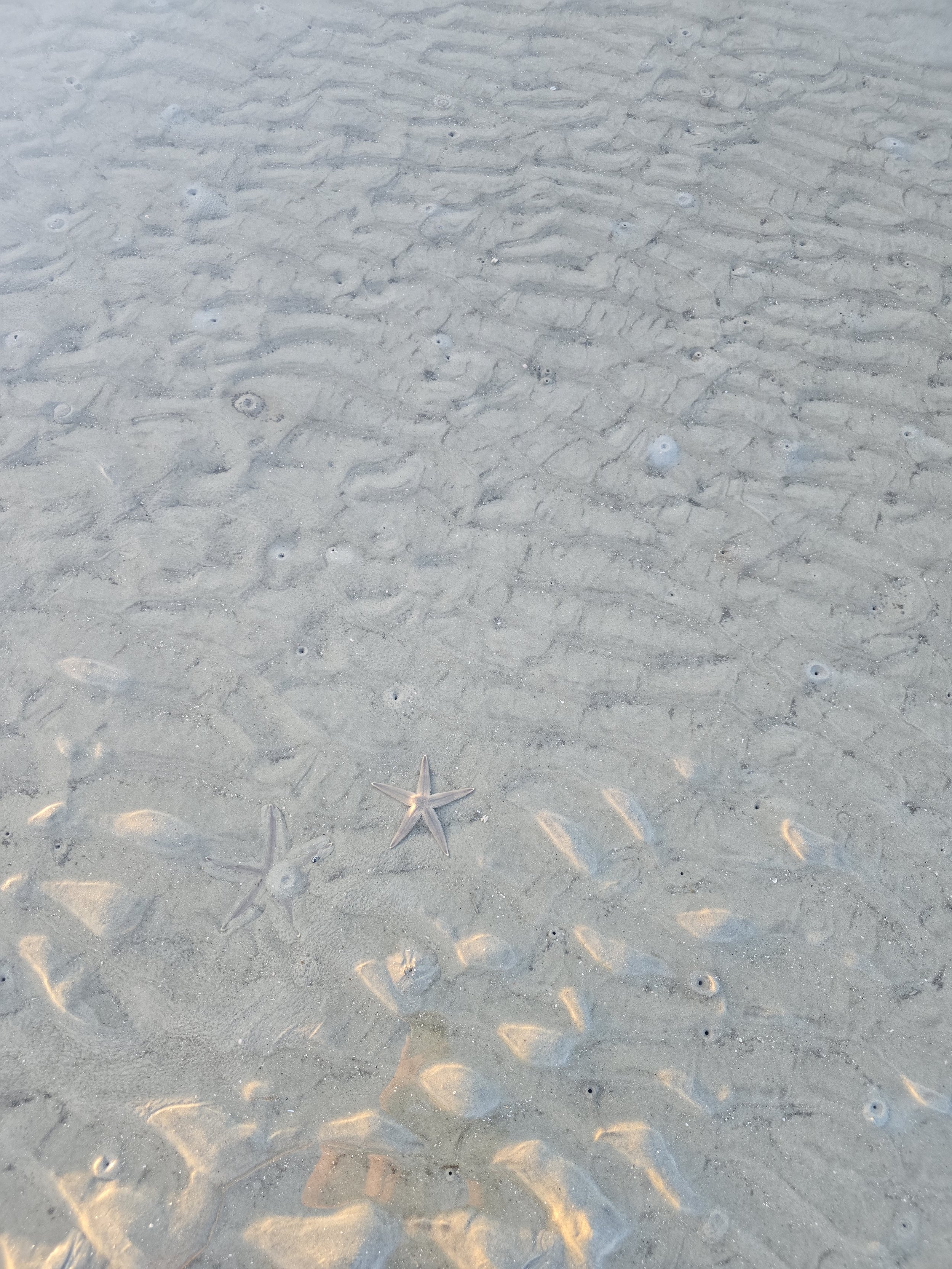 Valentines: “on ocean avenue” by k j tiao