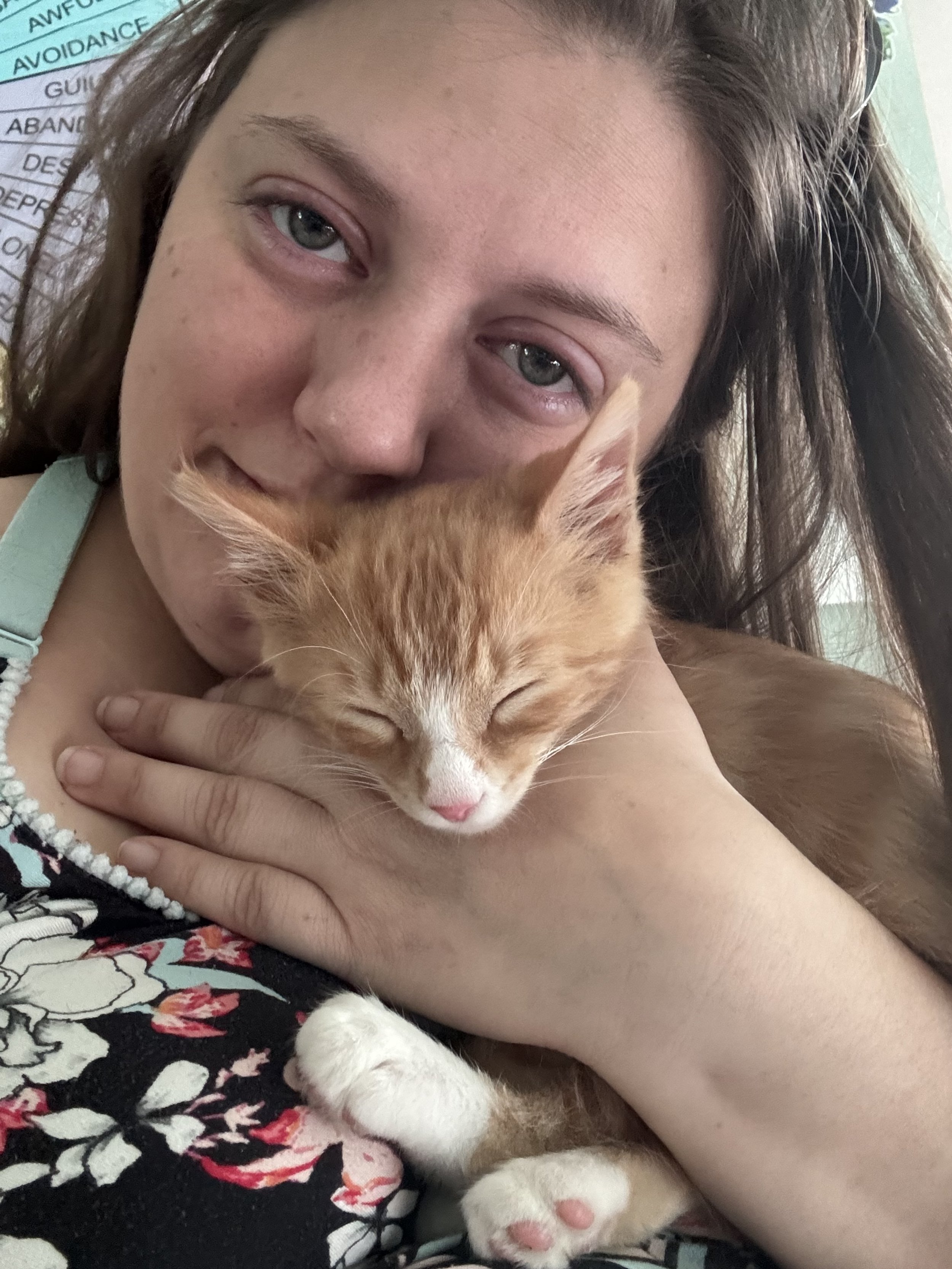 When I tell you this cat healed a piece of me, I am not kidding.
