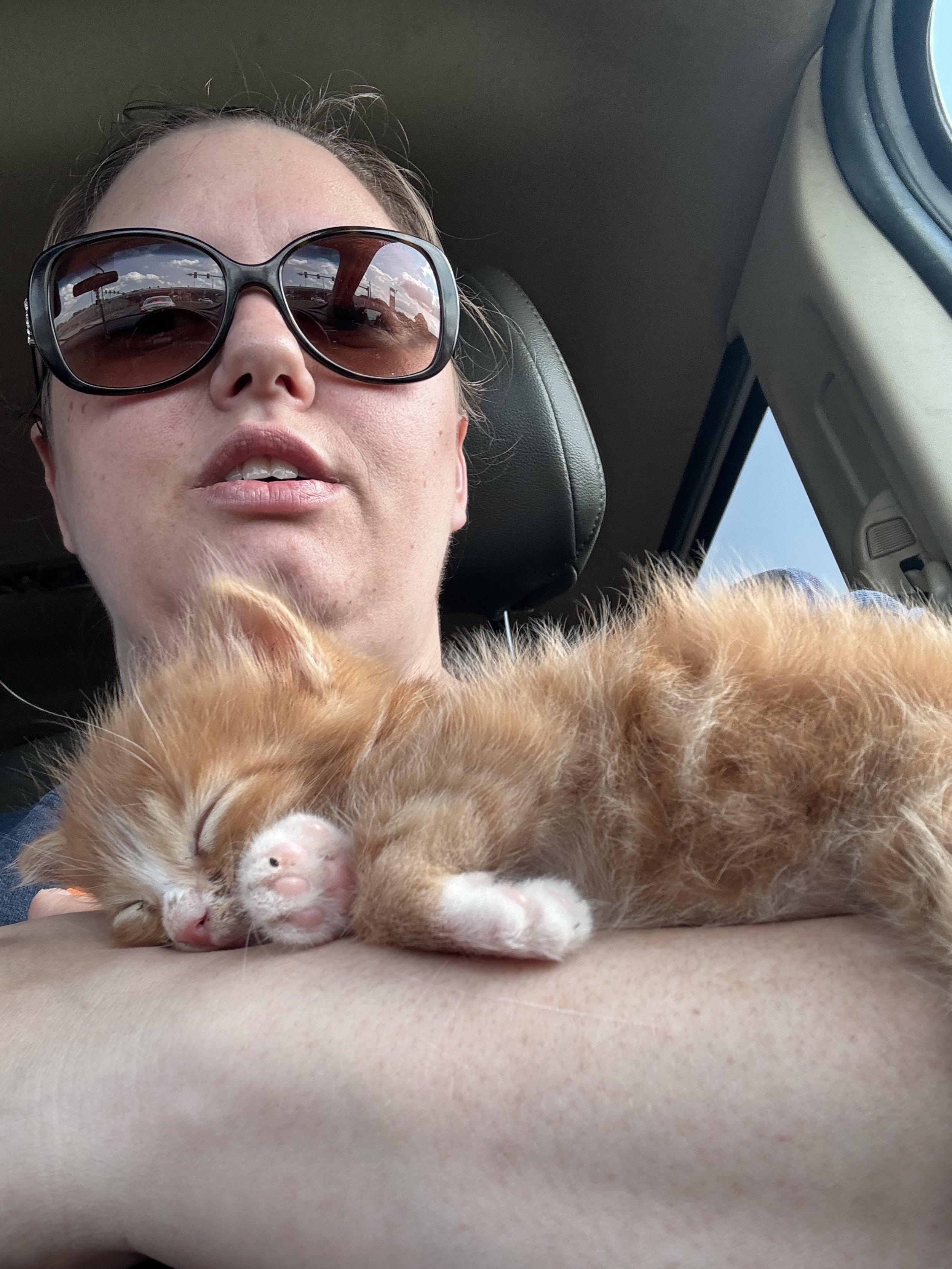 and the universe gifted me 2 cats at the hands of my oldest Korah stealing them from her father's house.