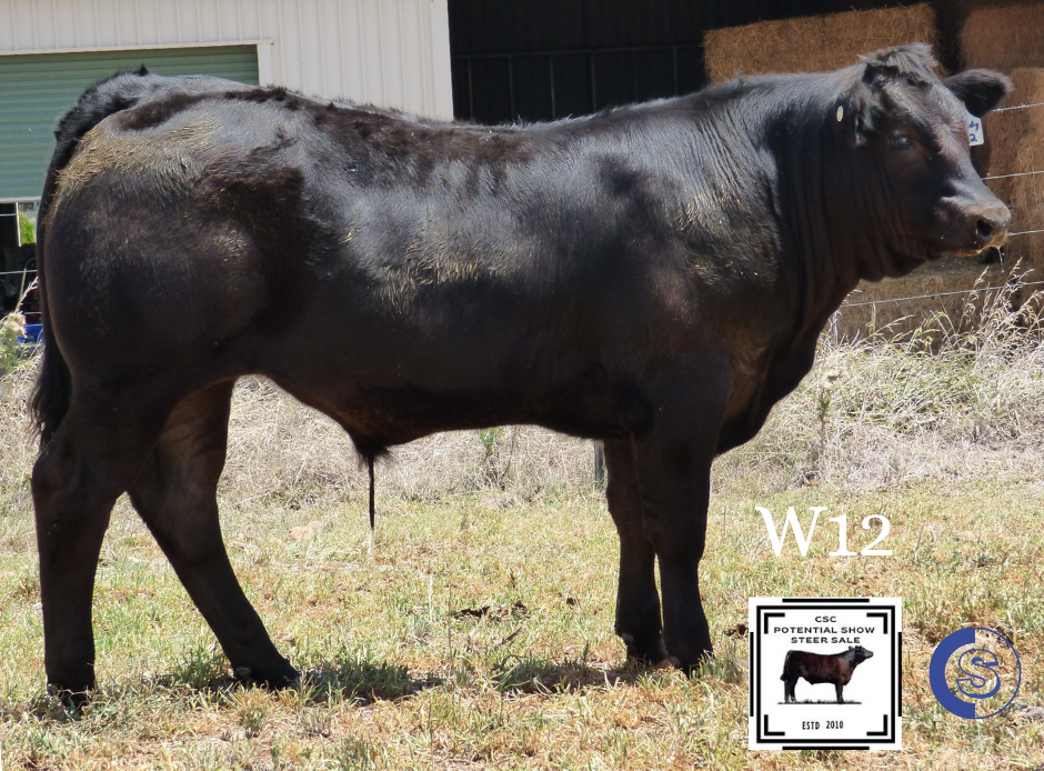 A/C: C & L McGilchrist