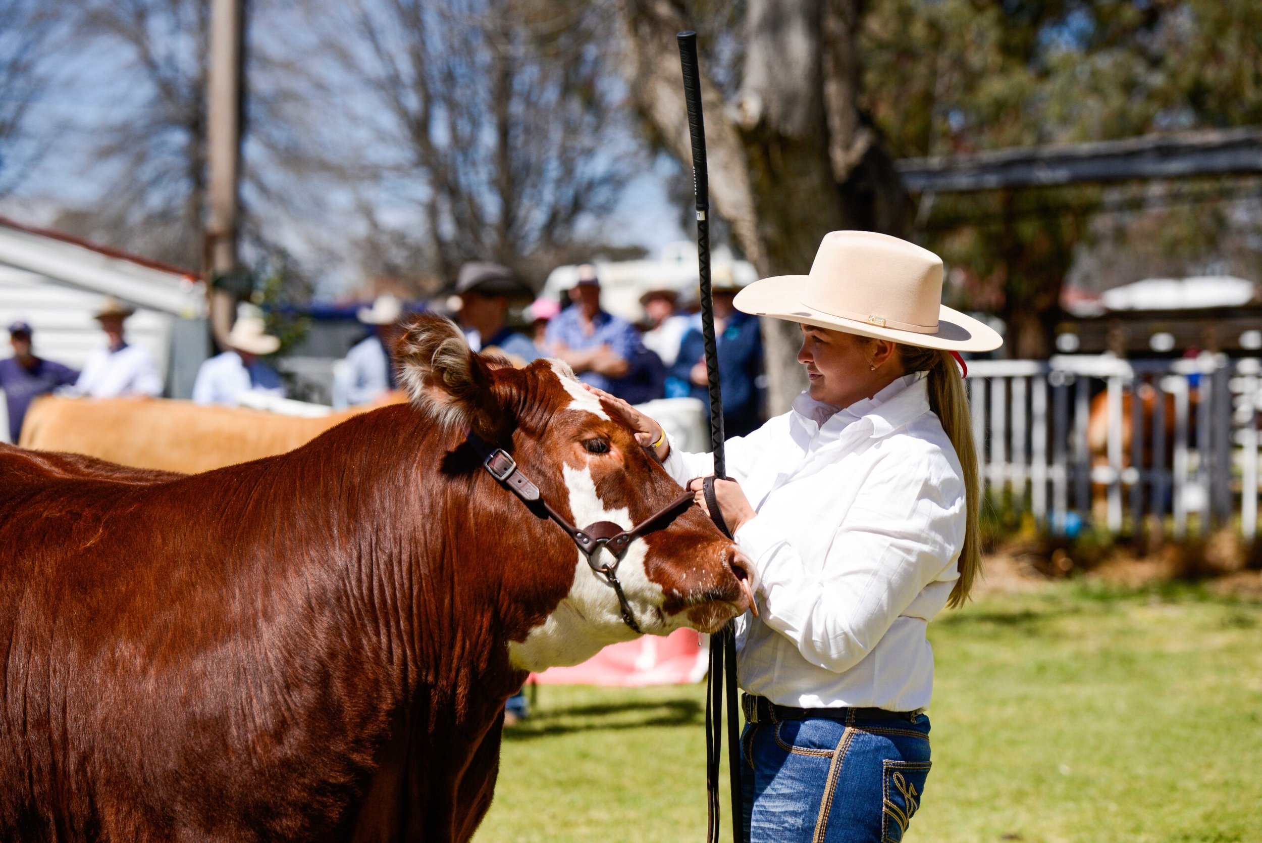 tayla-with-steer_optimized-scaled.jpeg