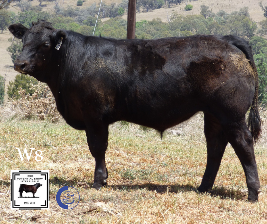 A/C: C & L McGilchrist