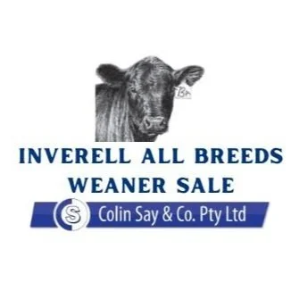 Inverell All Breeds Weaner Sale