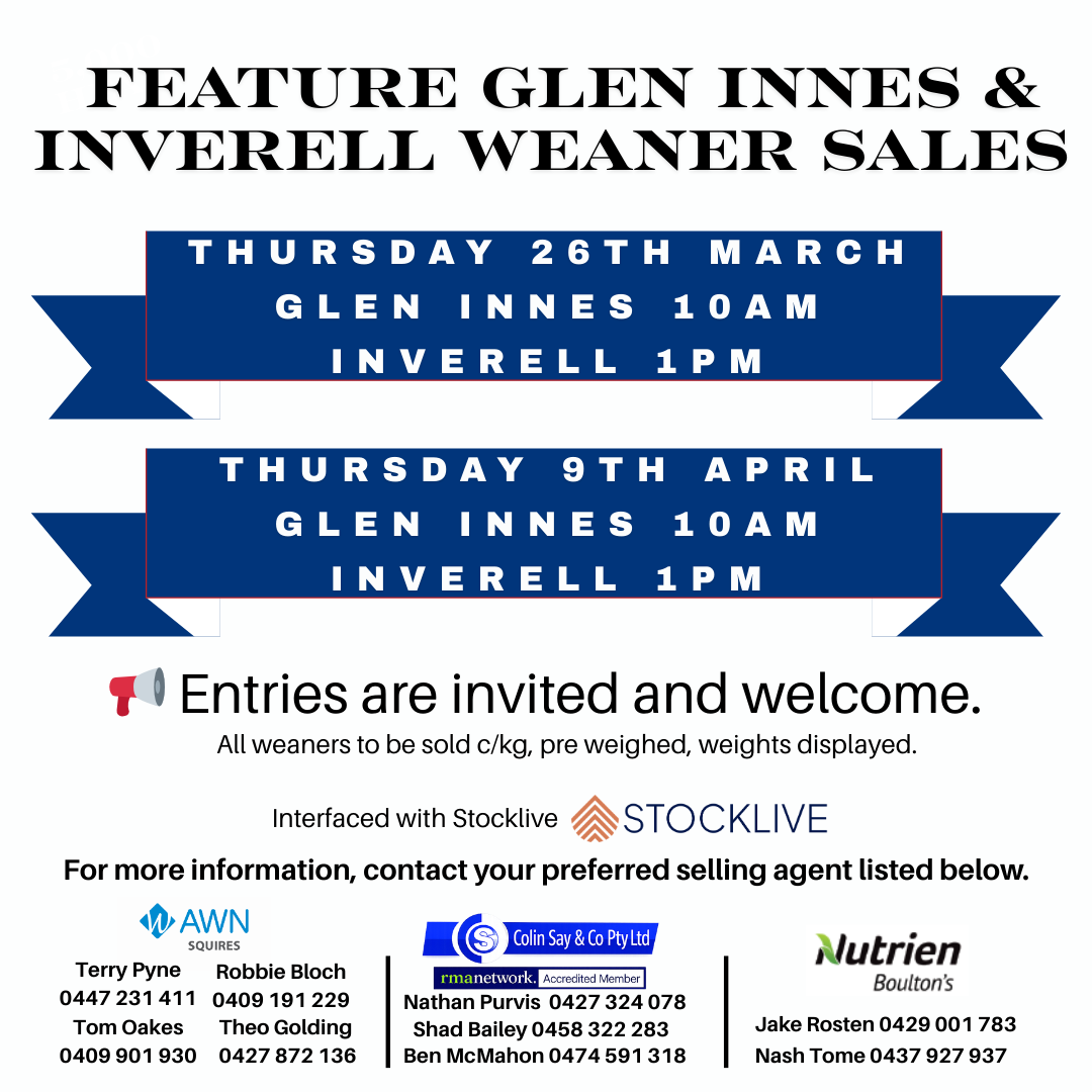 Feature Weaner Sales