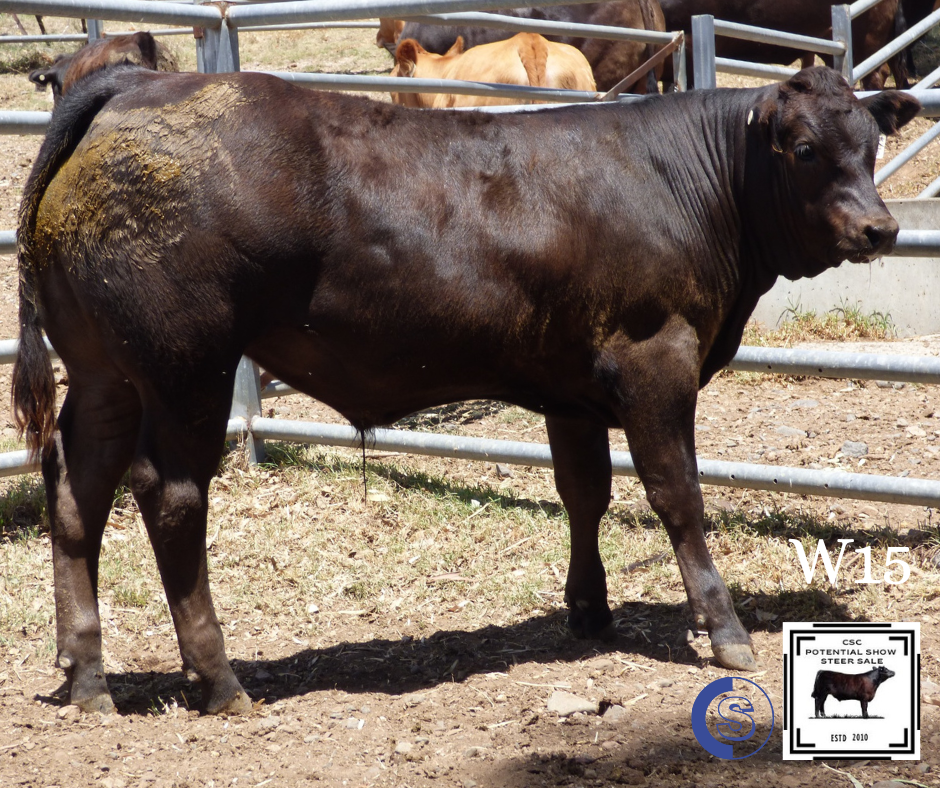 A/C: C & L McGilchrist