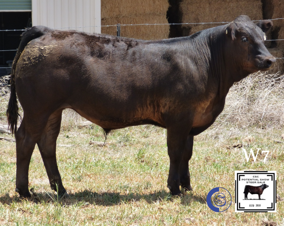 A/C: C & L McGilchrist