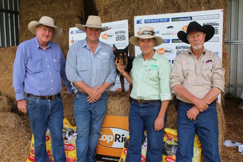 574256797_1593837634905872_6442377564816468926_n - Copy.jpg