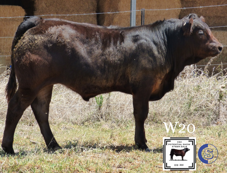 A/C: C & L McGilchrist