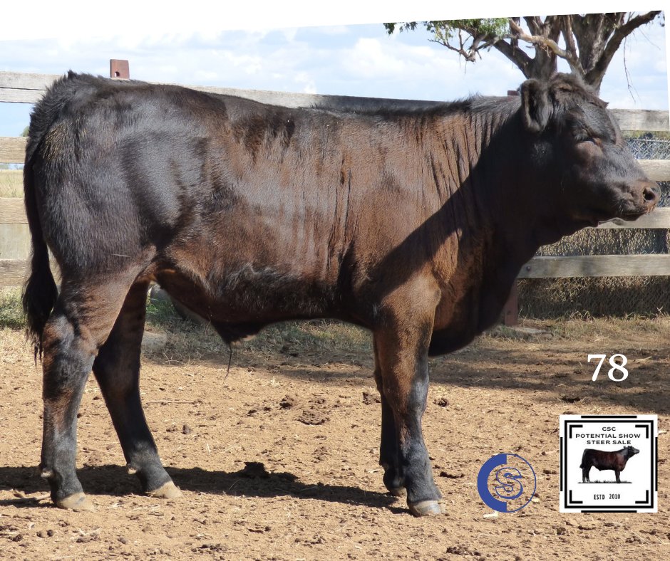 A/C: Borchardt Farming