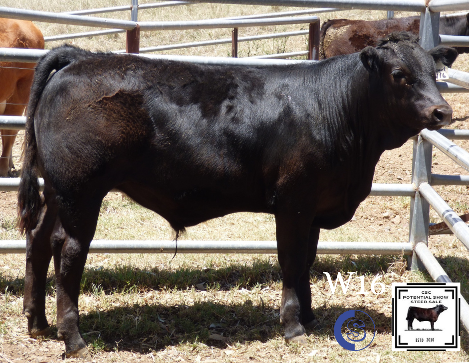 A/C: C & L McGilchrist