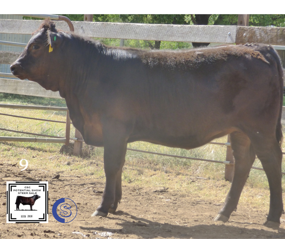 A/C: Borchardt Farming