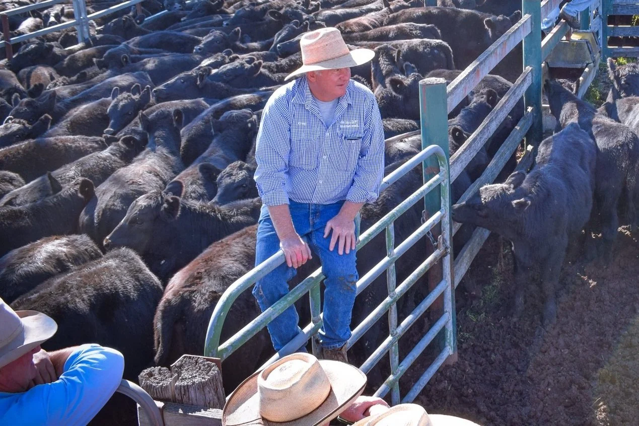 Blog 2 — Colin Say & Company Pty Ltd