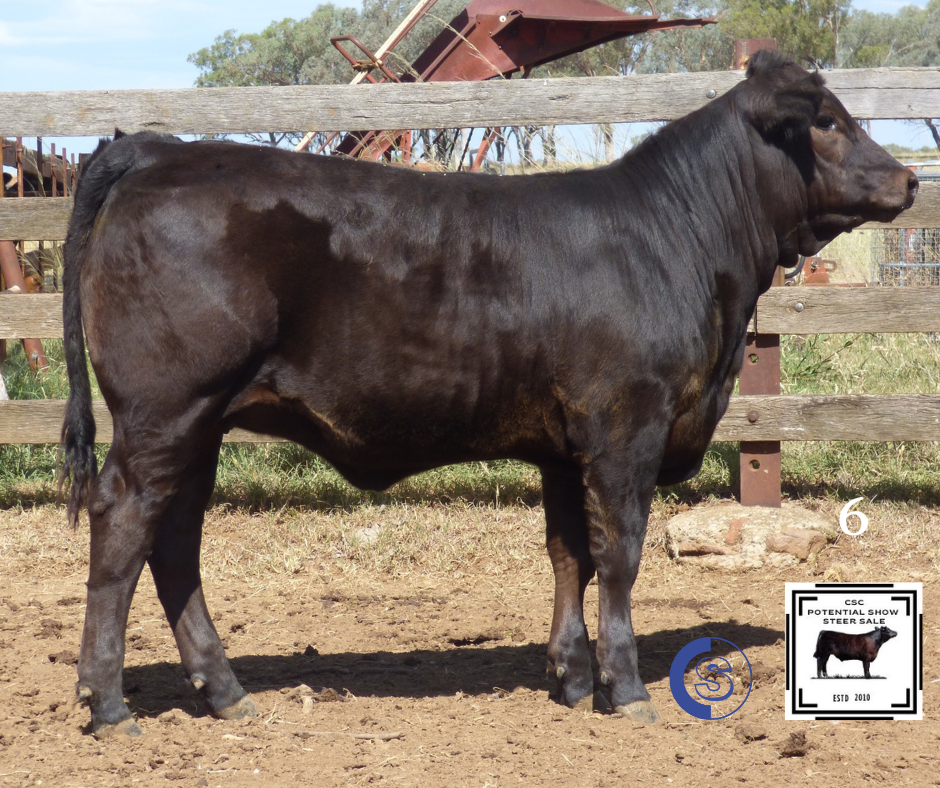 A/C: Borchardt Farming