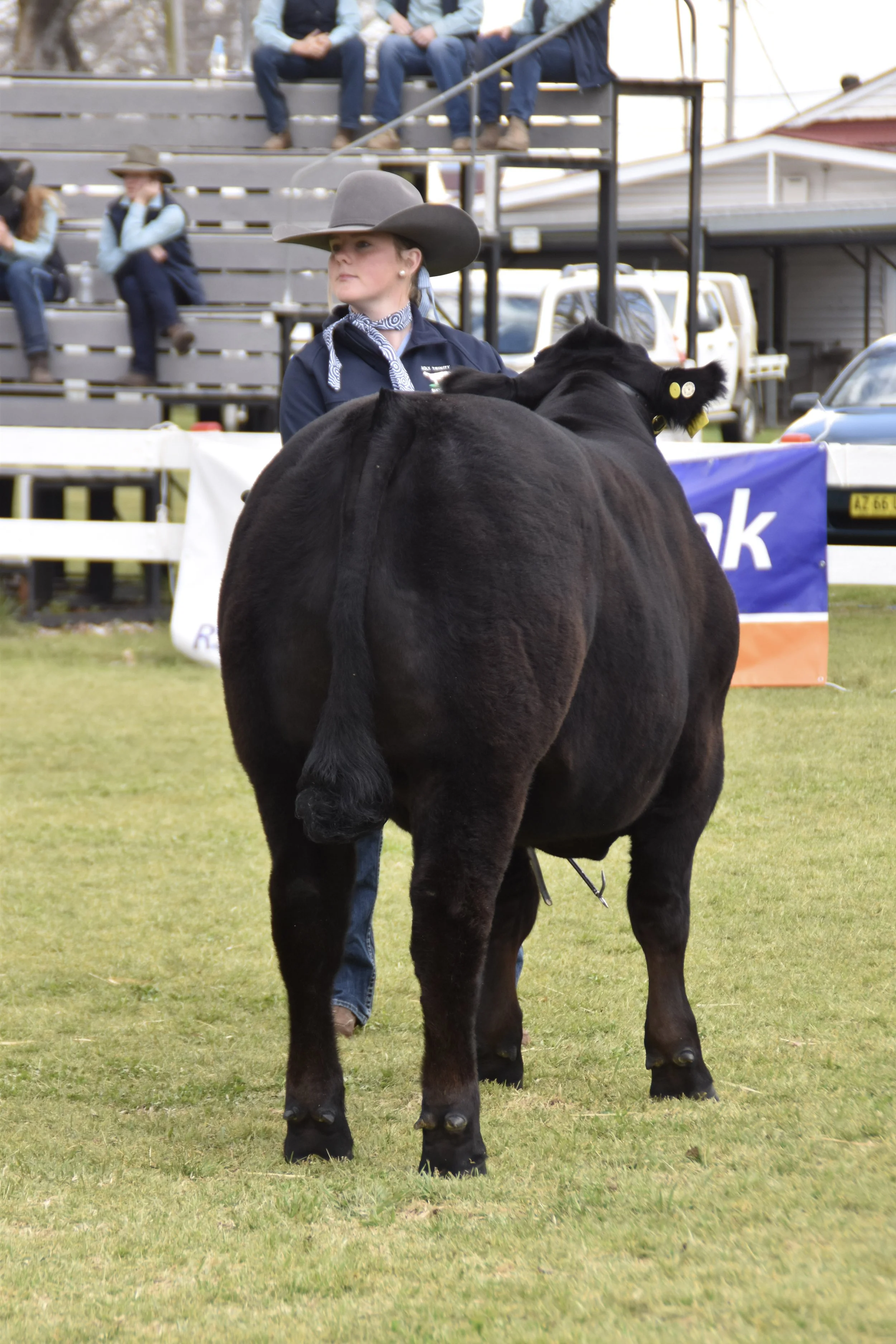 3-DSC_0482.jpg