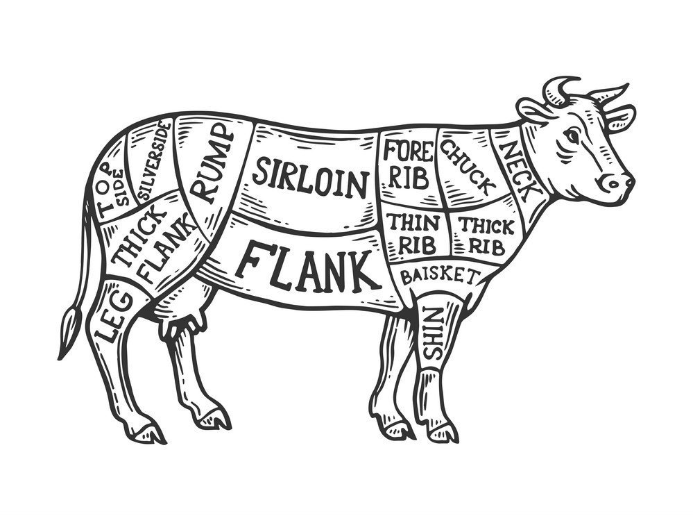 beef+bones+-+diagram.jpg
