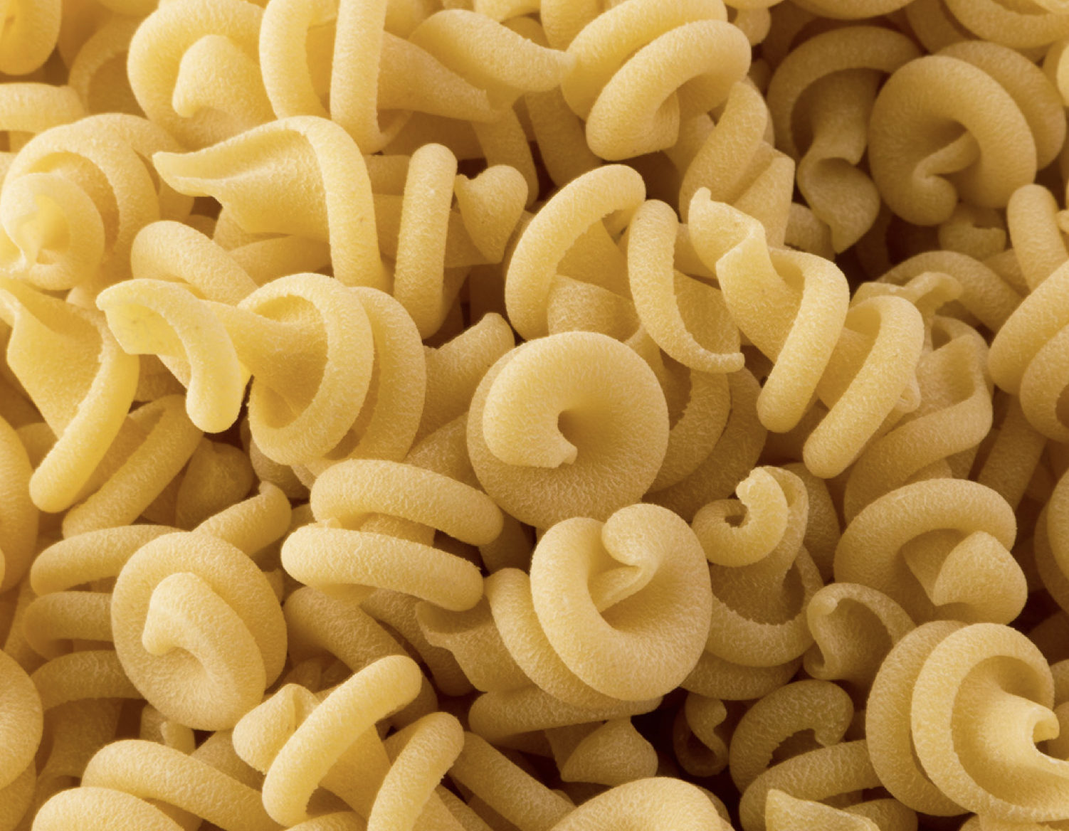 Island Pasta - Trottole