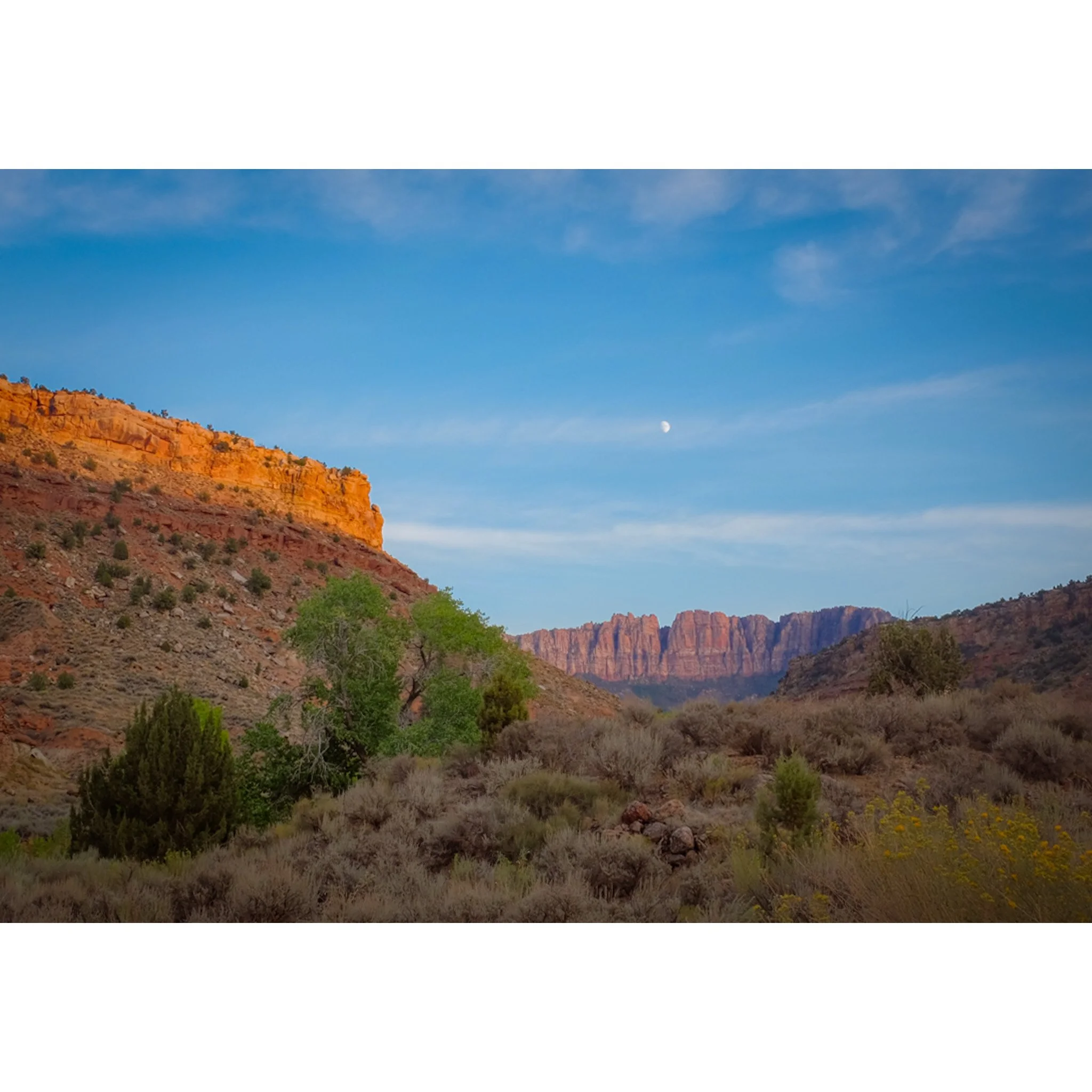 Whitagram-Image (35).jpg