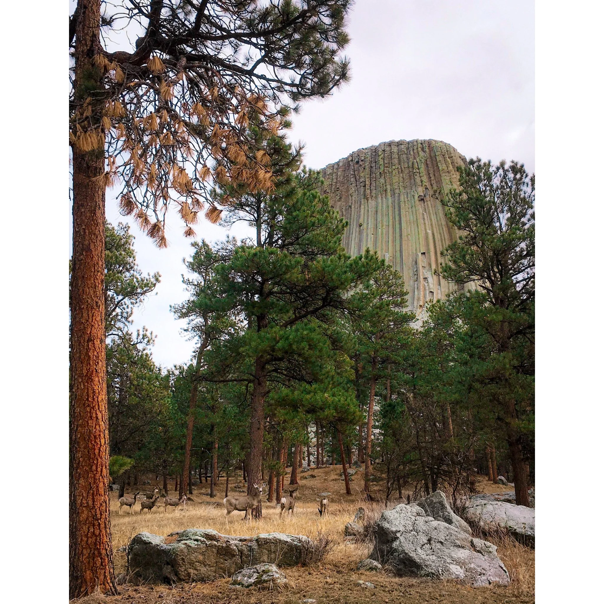 Whitagram-Image (14).jpg