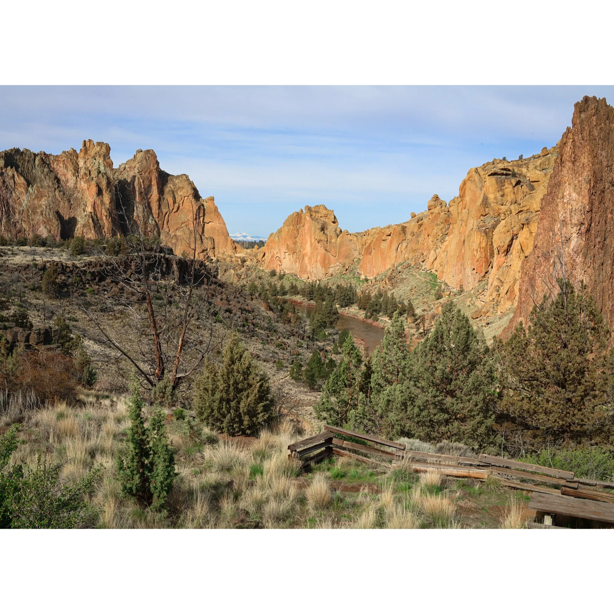 Whitagram-Image (60).jpg