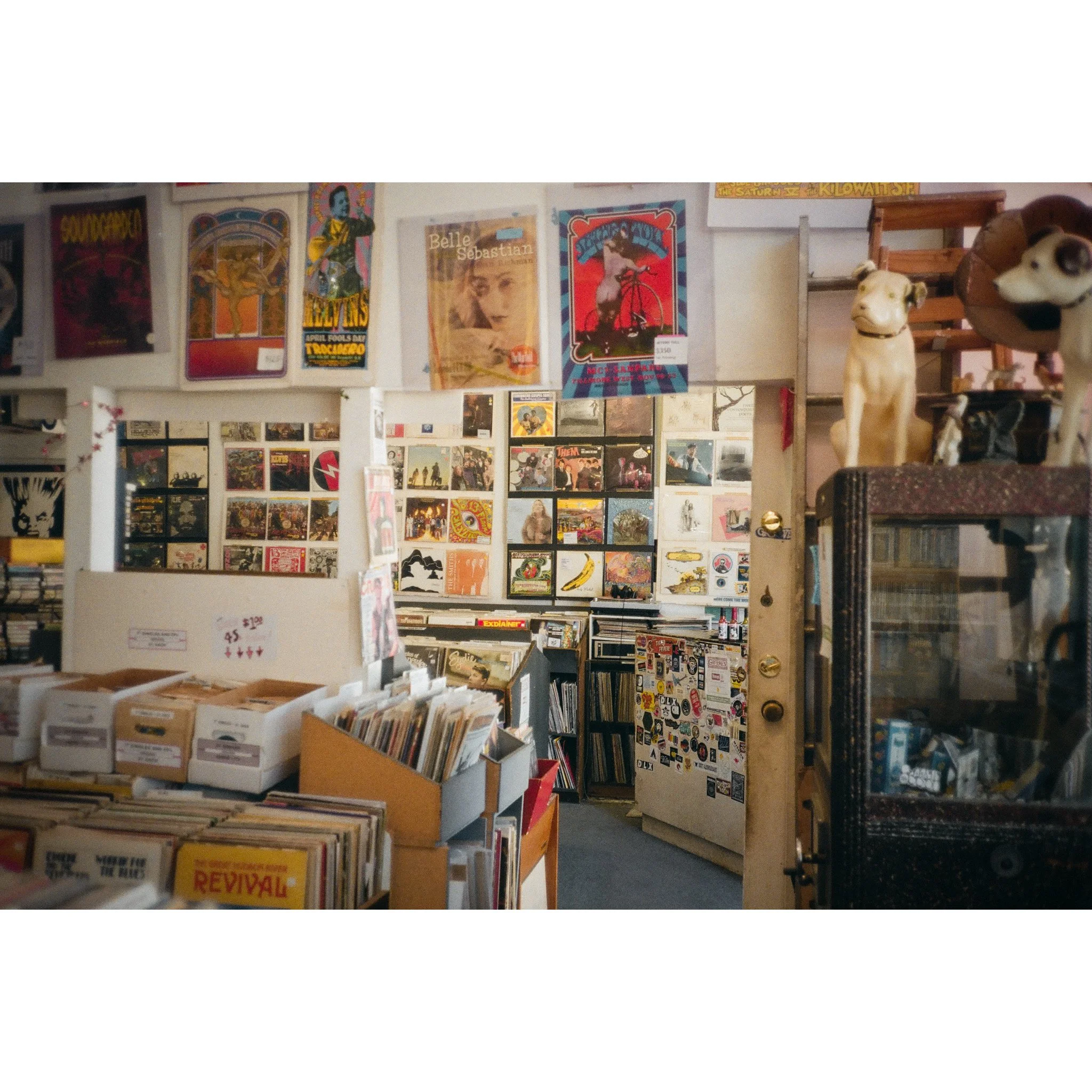 Whitagram-Image (57).jpg