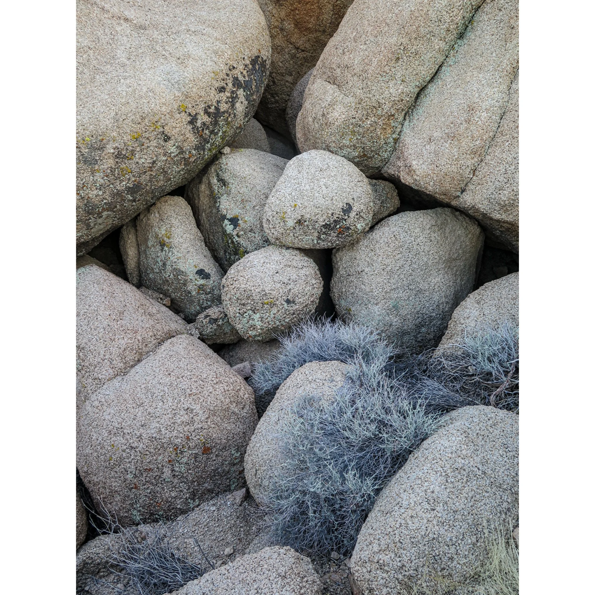 Whitagram-Image (55).jpg