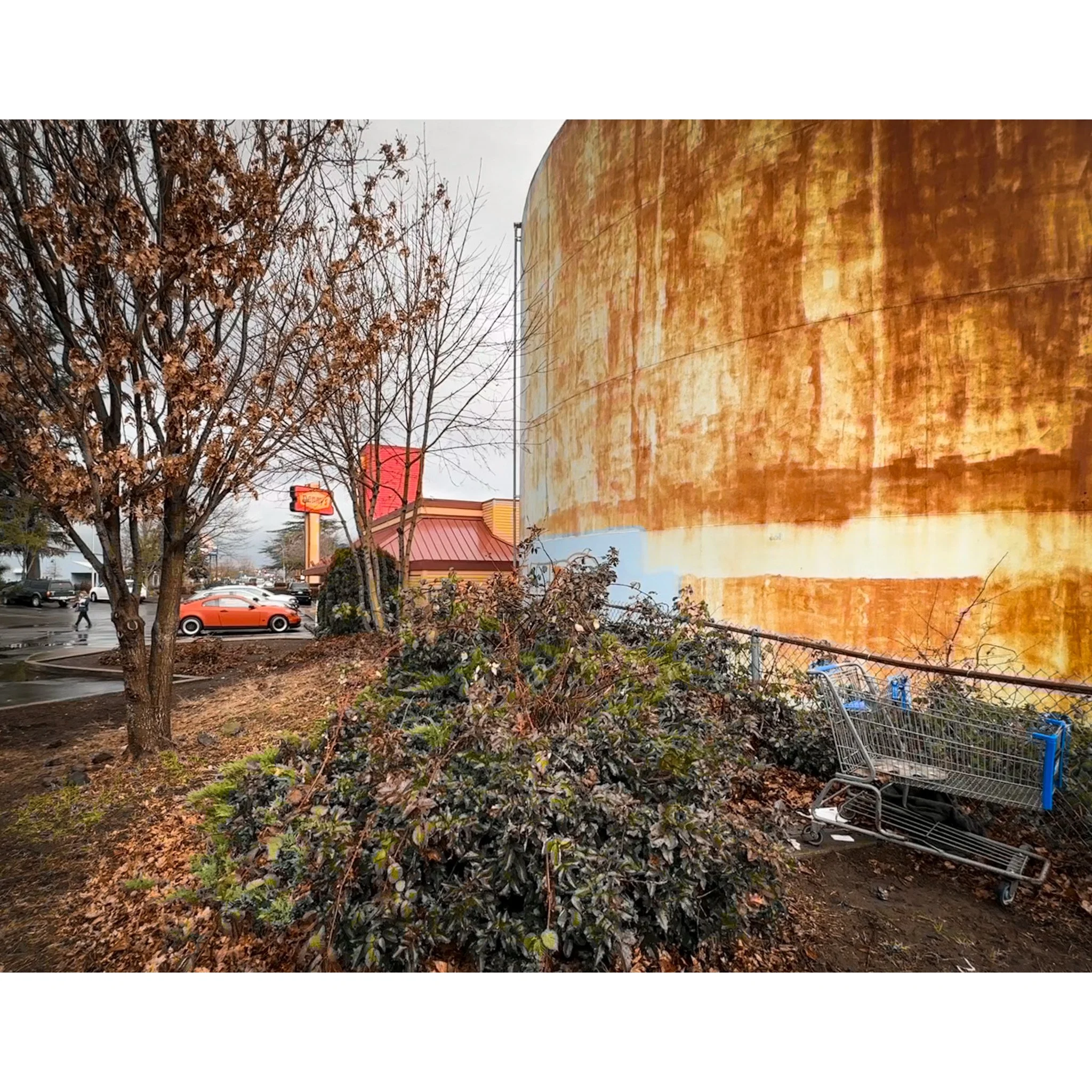 Whitagram-Image (50).jpg