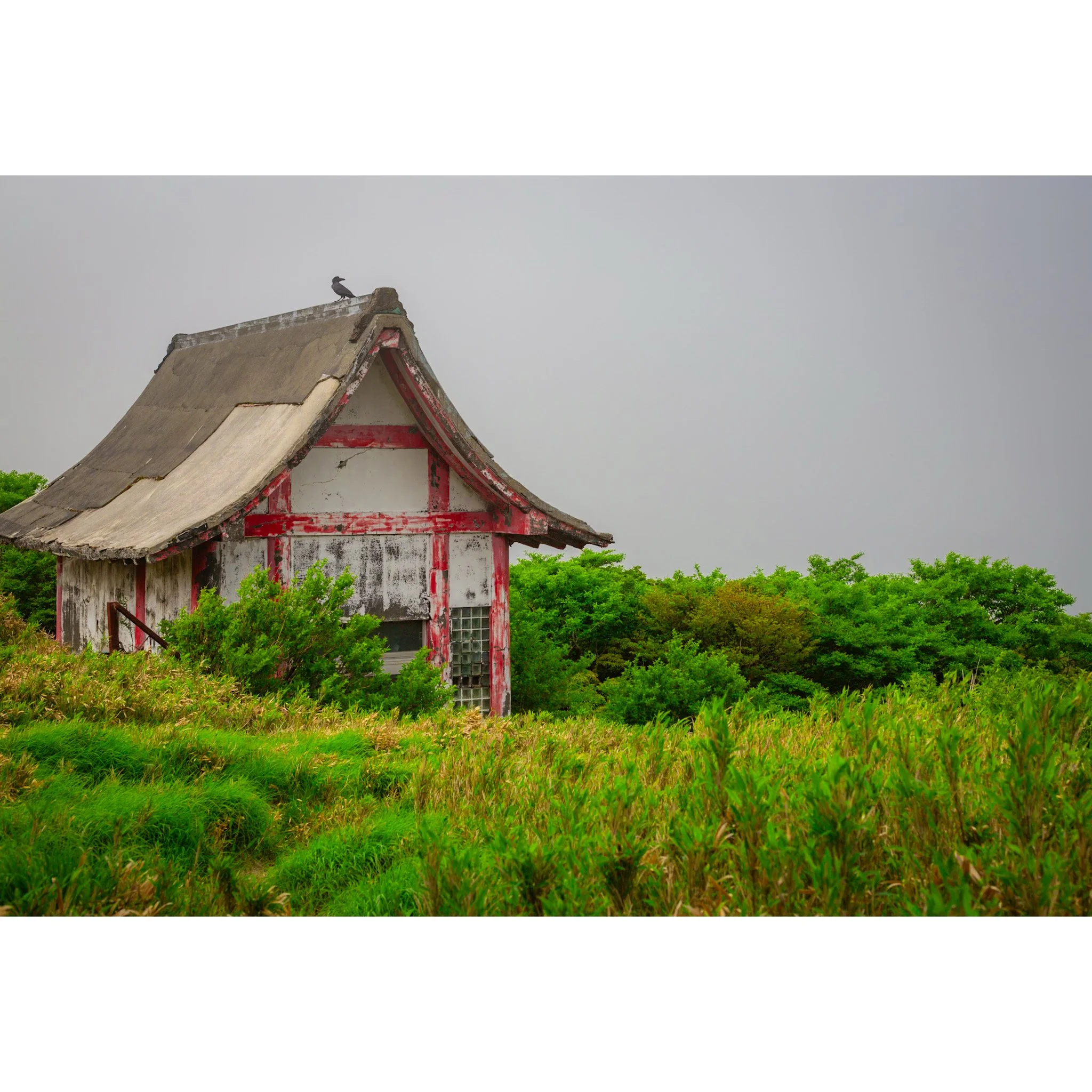 Whitagram-Image (23).jpg