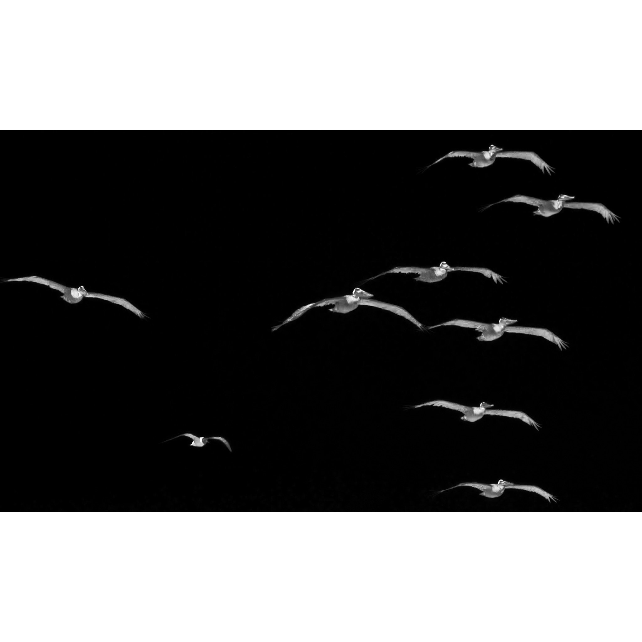 Whitagram-Image (46).jpg