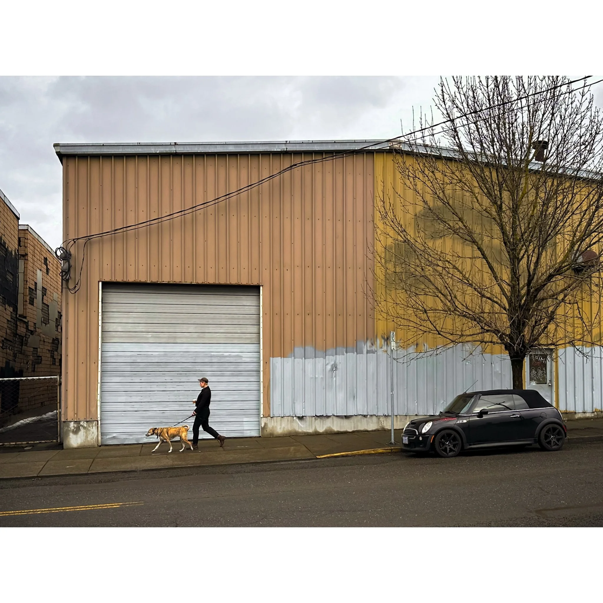 Whitagram-Image copy 2.JPG