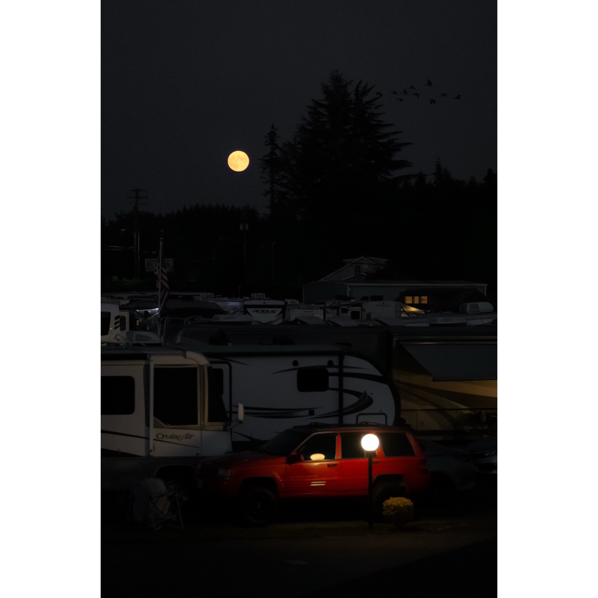 Whitagram-Image (48).jpg