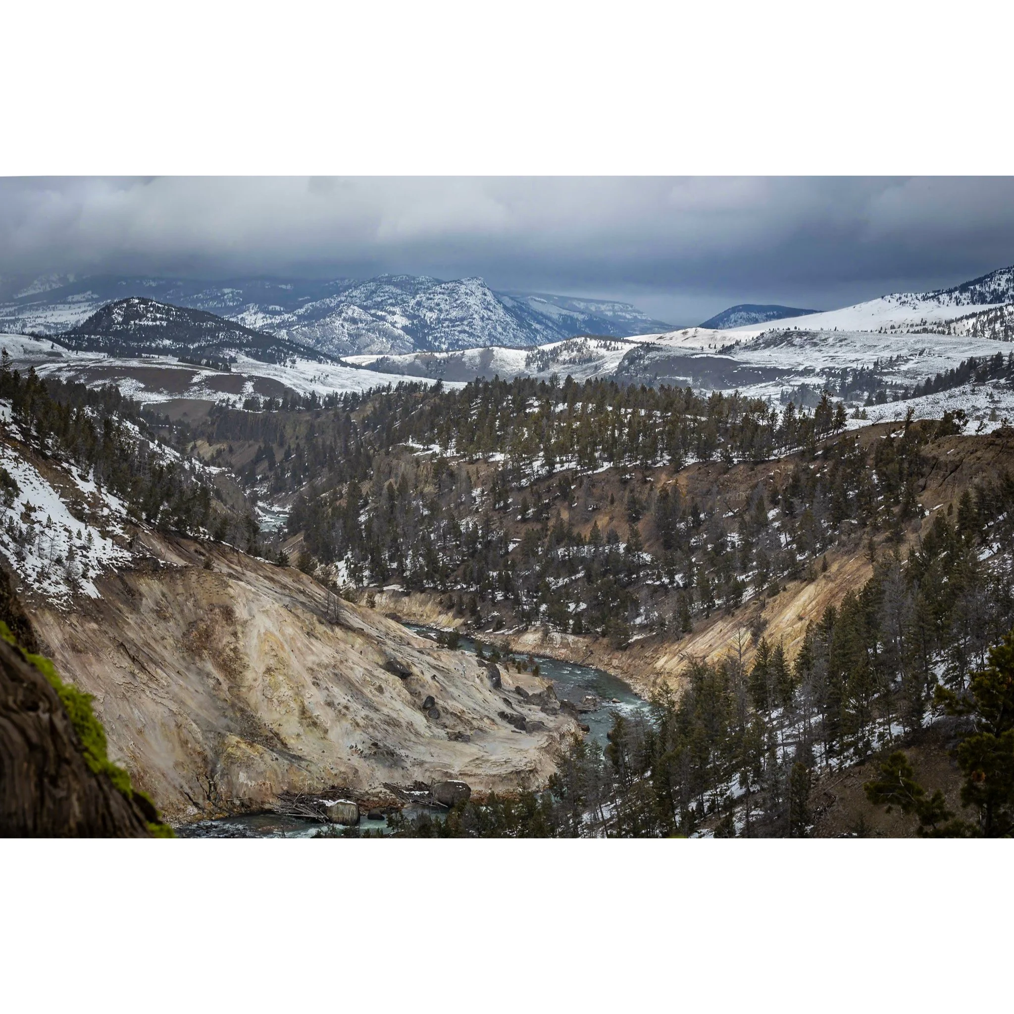 Whitagram-Image (15).jpg