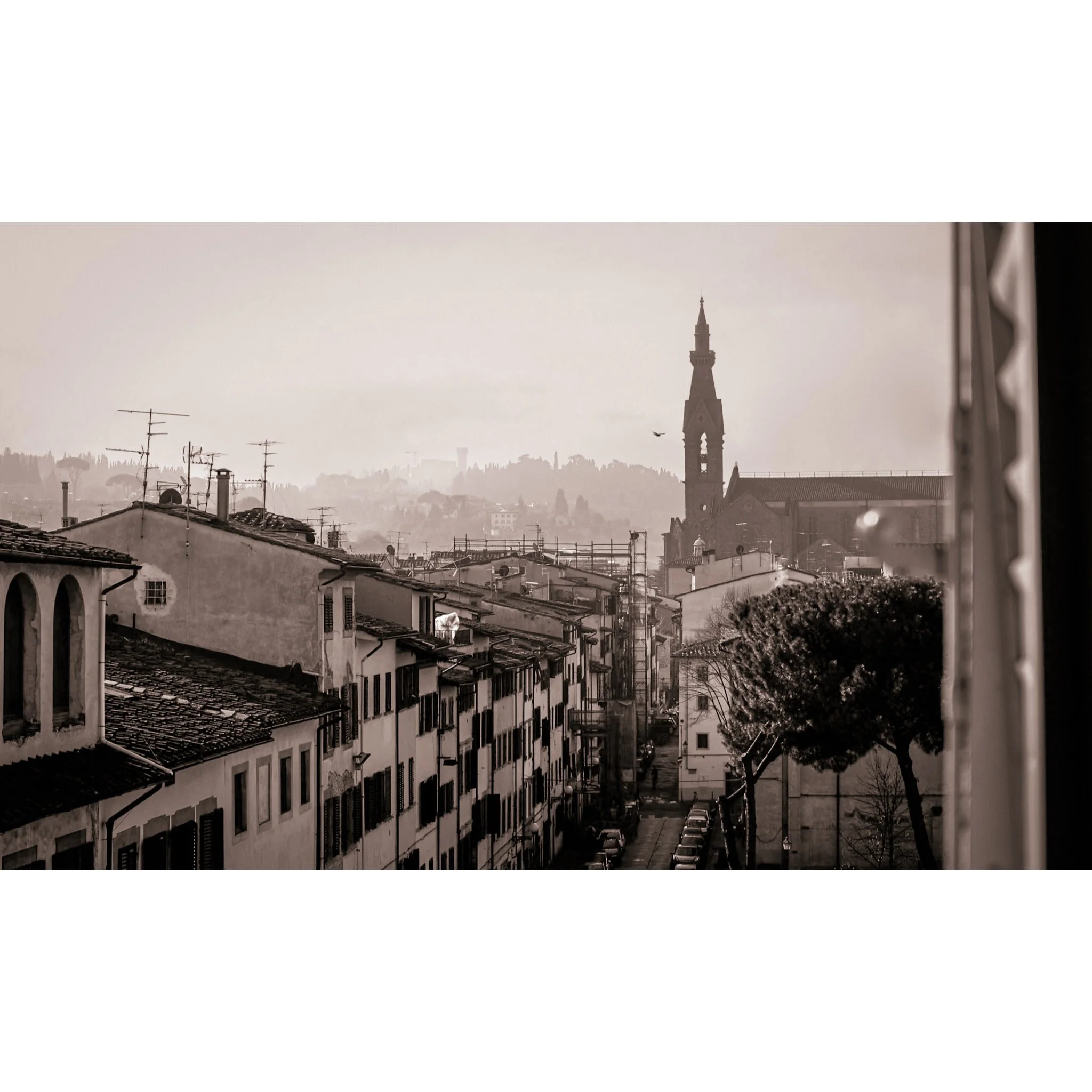 Whitagram-Image (2).jpg