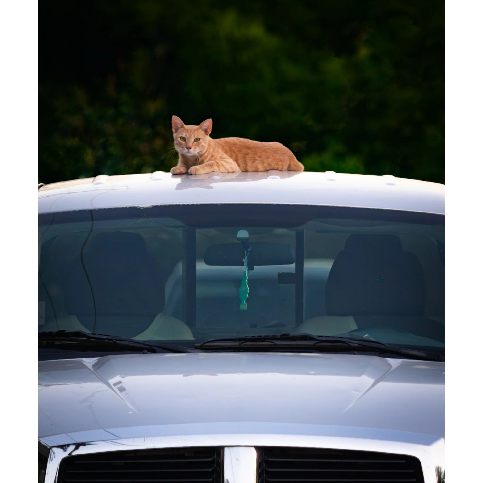 Whitagram-Image (47).jpg