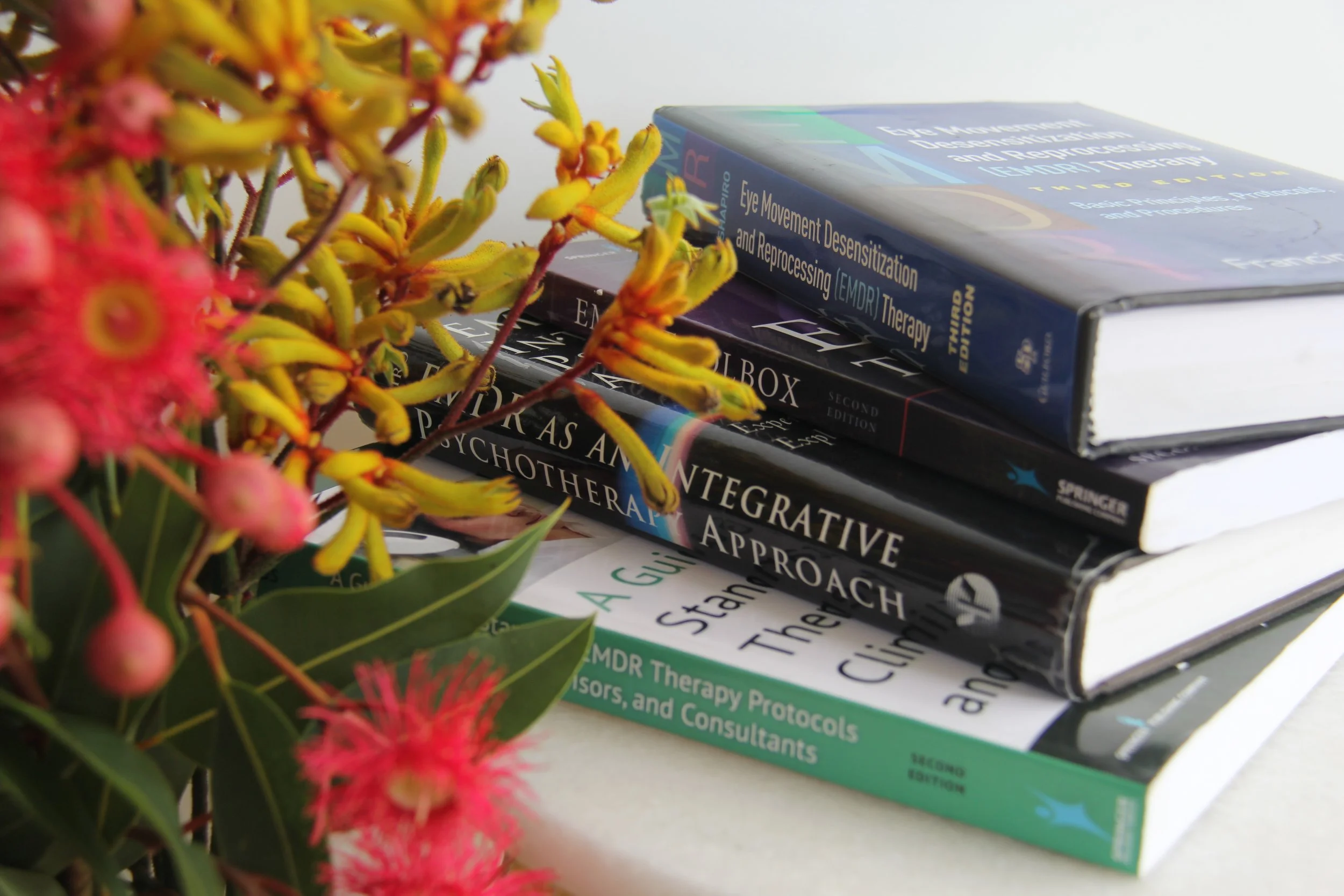 EMDR Refresher Workshop