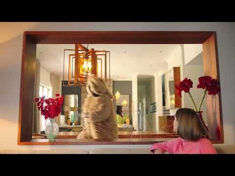 Roborock – Pet Hair