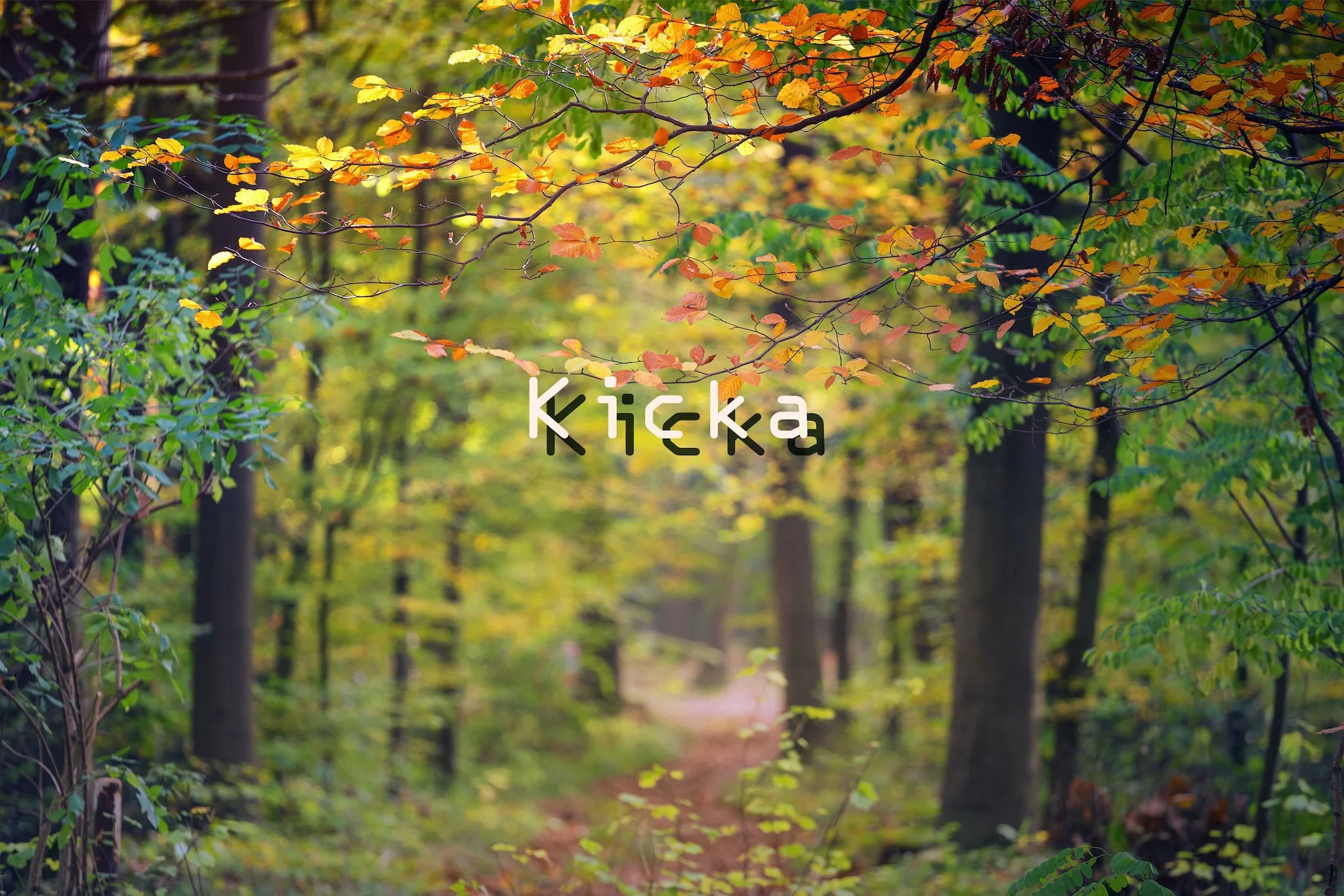 Kicka【キッカ】