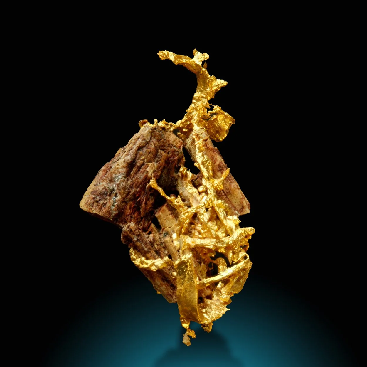 M1334-1 copy Kopie.jpg