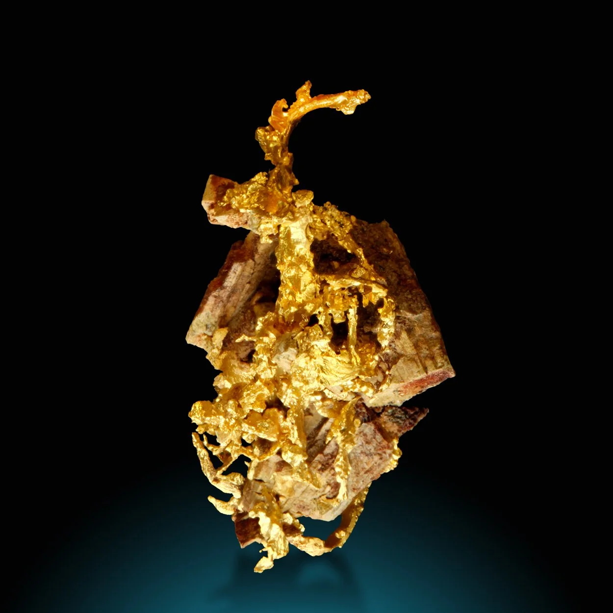 M1334-2 copy Kopie.jpg