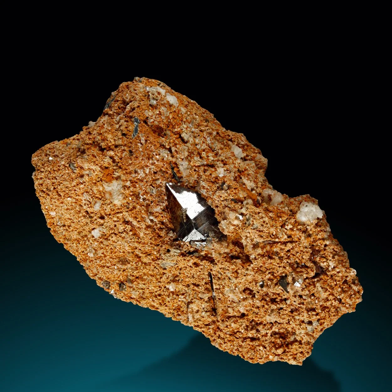 M1343-2 copy Kopie.jpg