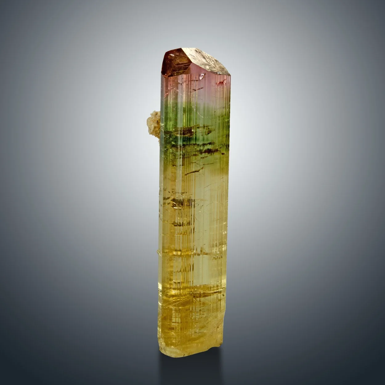 M1418-1 Kopie copy.jpg