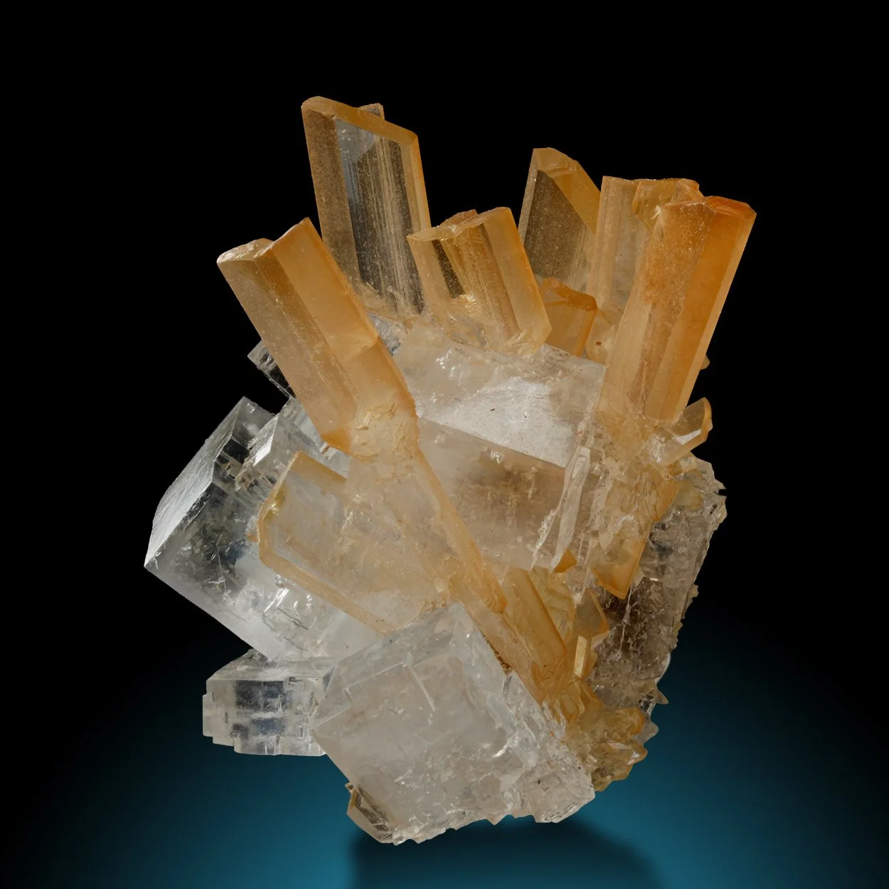 RW07-1 copy.jpg