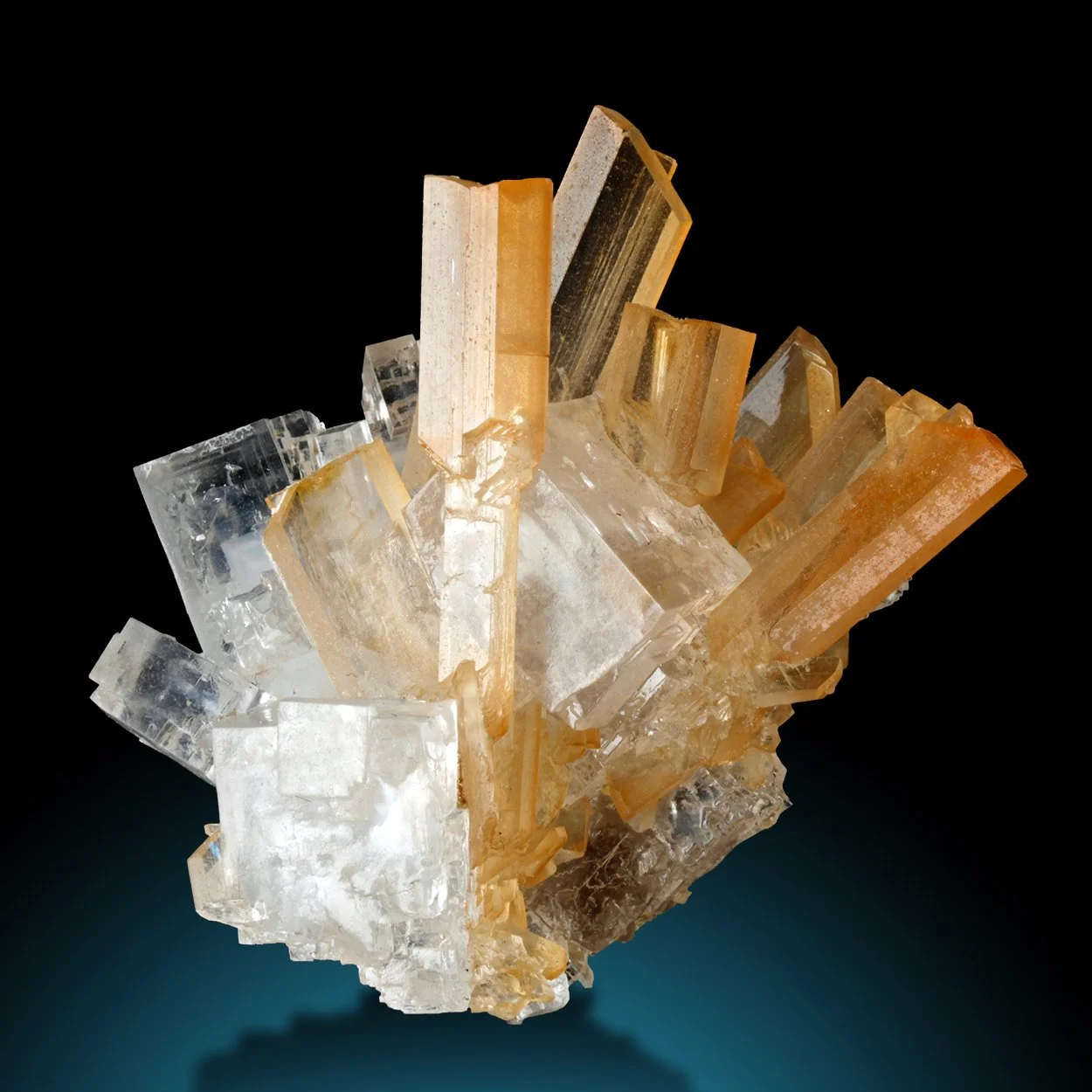 RW07-2 copy.jpg