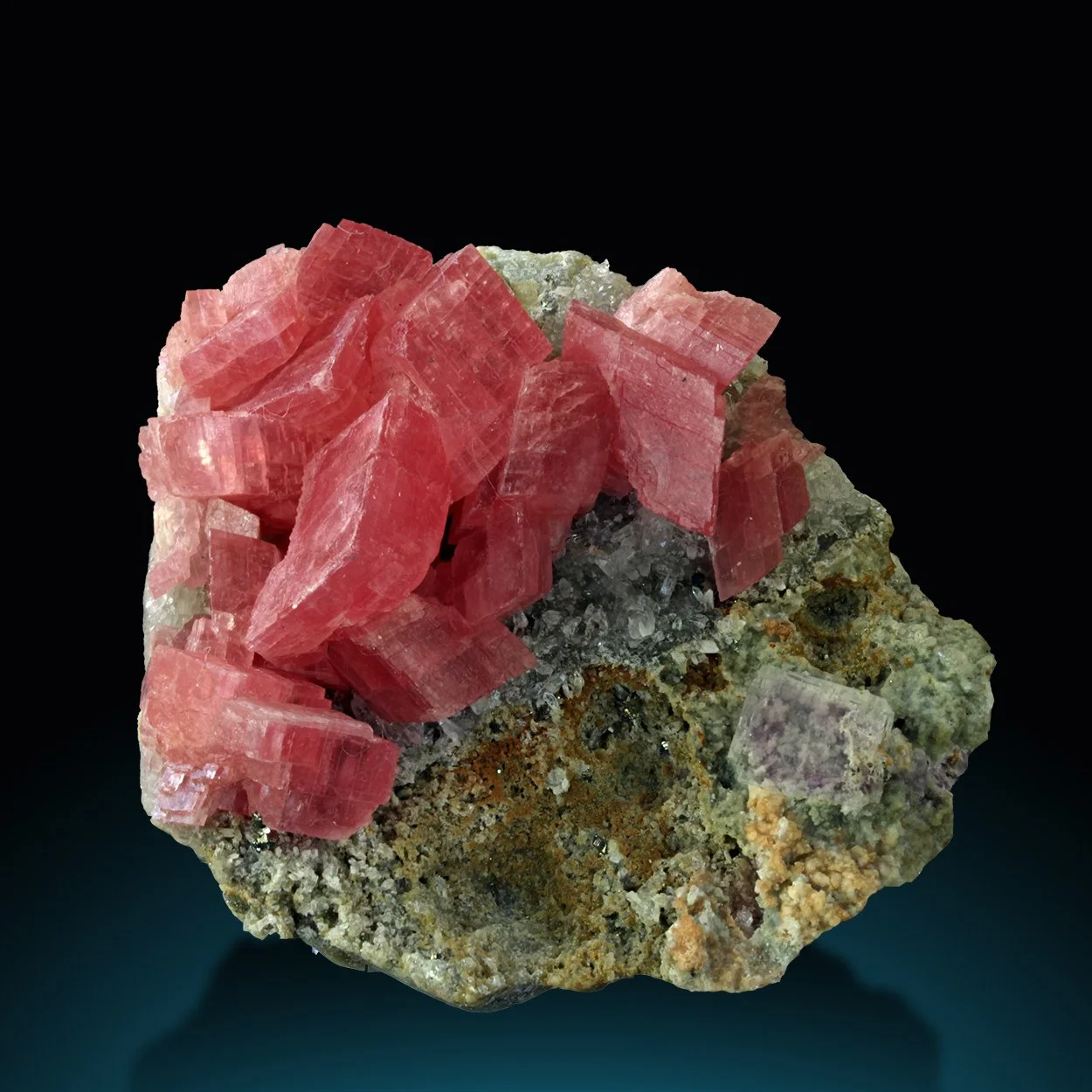 RhodoFluo 60x57x40 Wutong SeDNN a copy.jpg