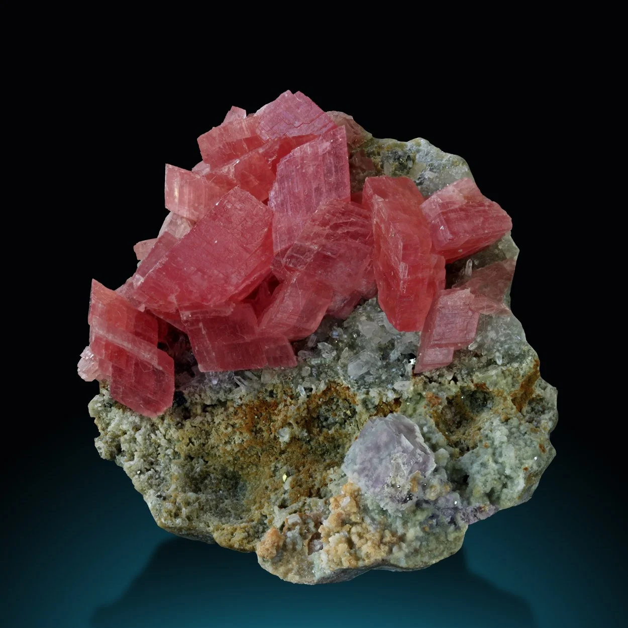 RhodoFluo 60x57x40 Wutong SeDNN b copy.jpg