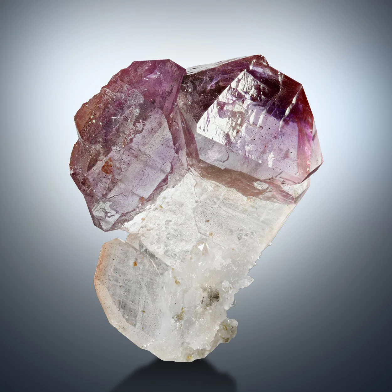 Amethyst var Japan Law (M1404)