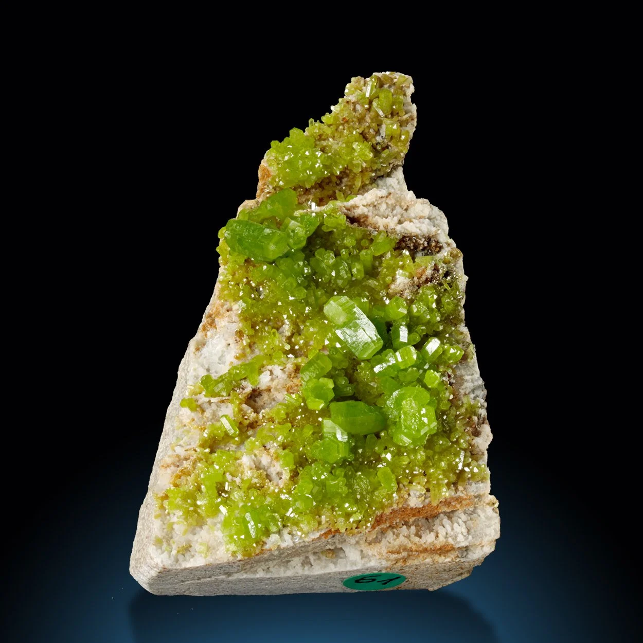 M1342-1 copy Kopie.jpg