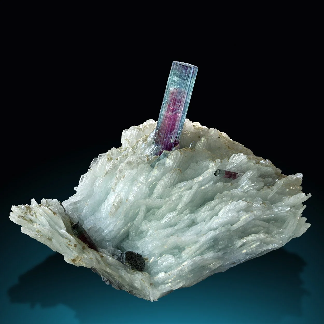 TourmalineCleavelandite 125x95x93 Pederneira ENDFN copy.jpg