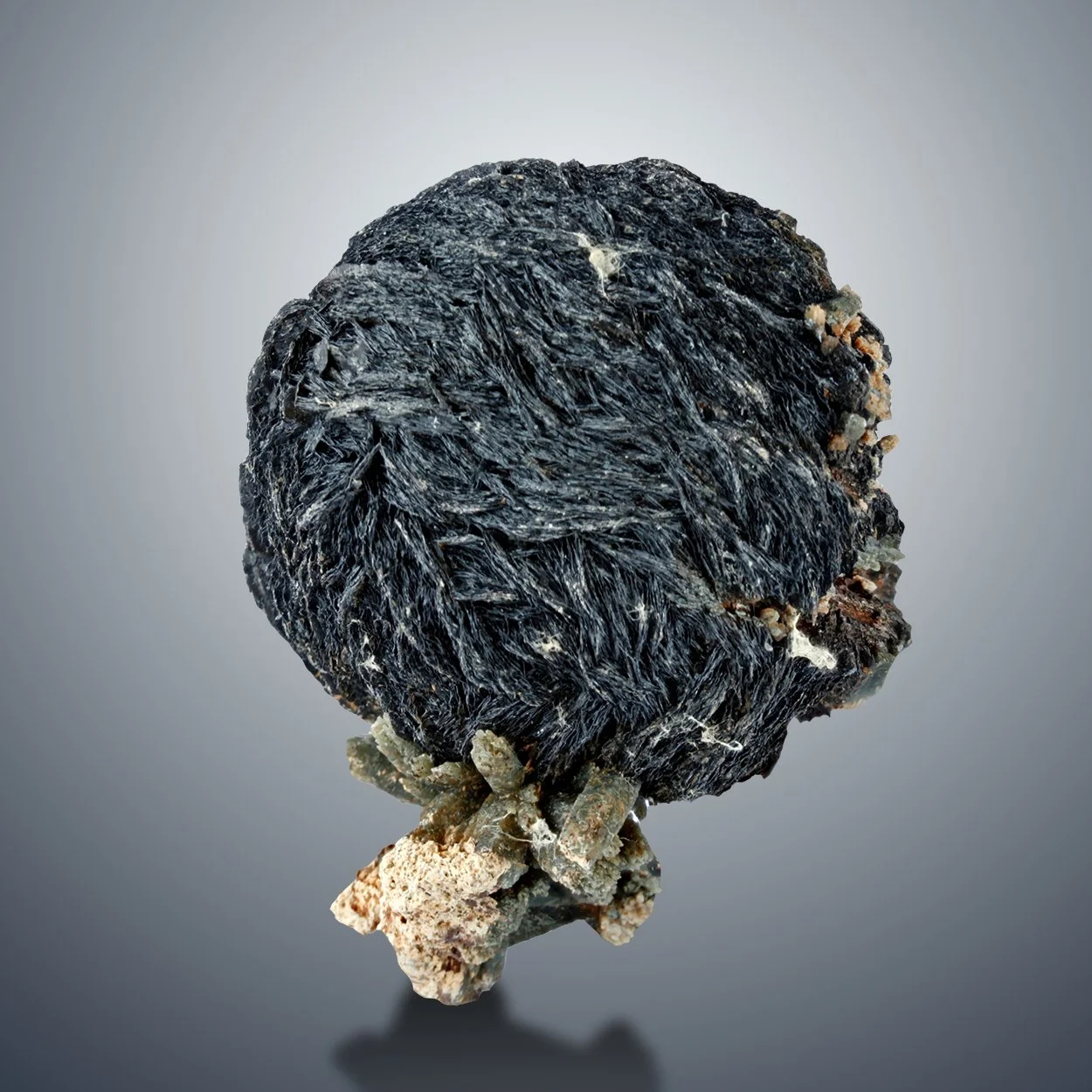 Iron Rose with Prase (M1230)