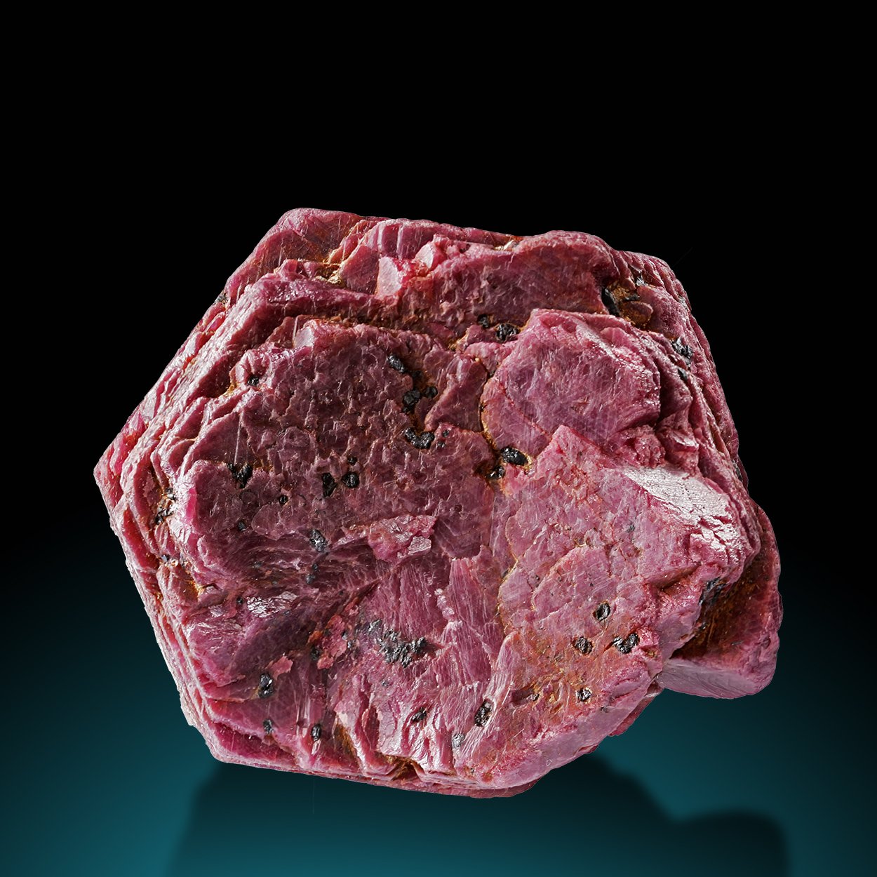 M860-1 copy.jpg